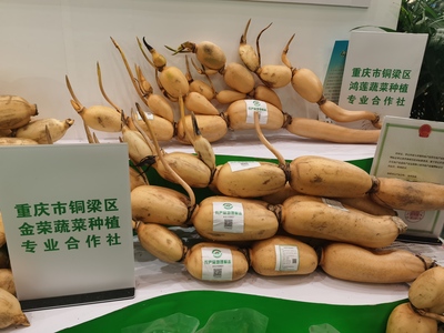 重慶農(nóng)產(chǎn)品地理標志展區(qū)