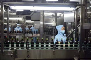 攜手同行 合作共贏 重慶泉龍公司攜新老客戶參觀保寧醋工廠