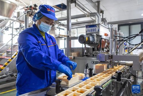 火鍋の產業チェーンで質の高ぃ経済発展を后押し 中國重慶市