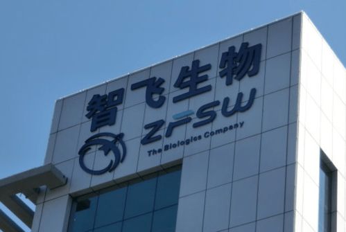 這個展區(qū),東博會首次設立